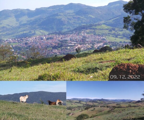 Gbib Vende-se 14 Hectares com muitas águas de minas, energia elétrica ...